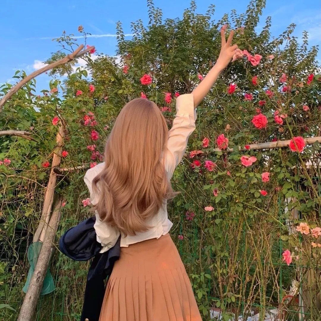 特快小火车:超级小火车大赛