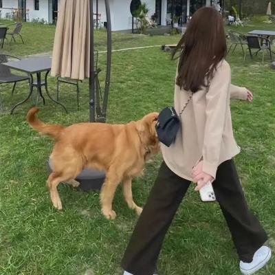 王庆典的春天